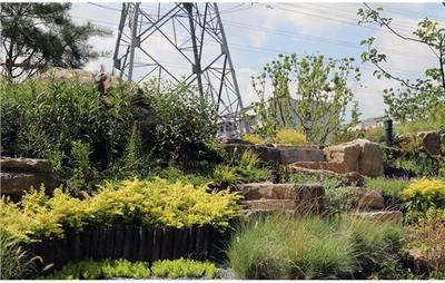 靜安區(qū)美麗城區(qū)項目臨汾路東茭涇(二期)綠化建設(shè)工程竣工