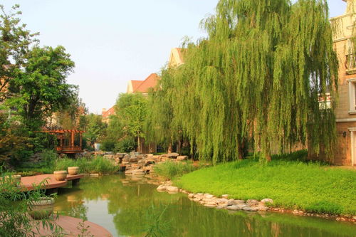 中工榜 公示 大同市園林綠化工程公司優(yōu)秀企業(yè)推薦