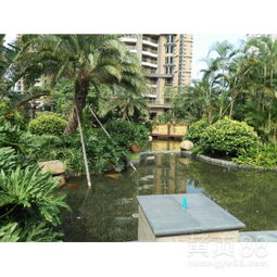 【工廠綠化養護、學校綠化養護、小區綠化養護修剪、園林綠化施工】-