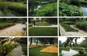 各種綠化、景觀鋪裝工程的設(shè)計與施工,園林綠化工程的養(yǎng)護(hù);園林綠化苗木、草皮、花卉的種植,銷售(廣西南寧)_CO土木在線