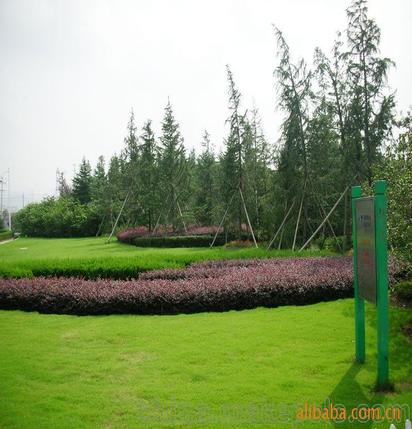 承攬綠化工程、園林施工、園林綠化工程養護