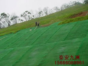 云南三維植被網(wǎng),邊坡植草綠化價(jià)格 廠家 圖片