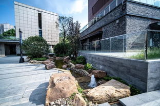 江南Urd A區(qū)景觀與體育場地設施工程榮膺園林綠化優(yōu)質工程稱號