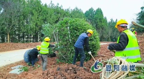 假期不停工，大梁山城市公園建設加速推進體育場地設施工程