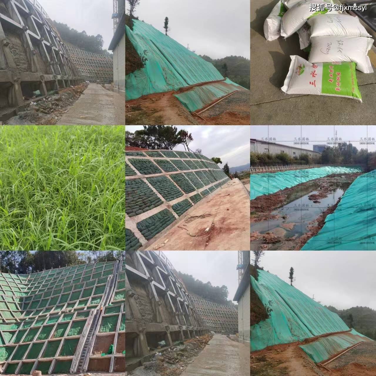 園林綠化景觀花海工程與體育場(chǎng)地設(shè)施工程施工流程詳解